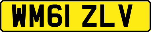 WM61ZLV