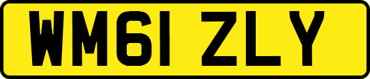 WM61ZLY