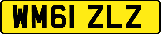 WM61ZLZ