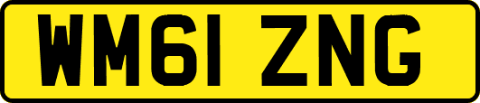 WM61ZNG