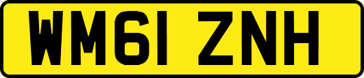 WM61ZNH