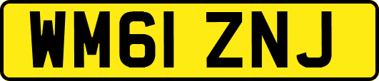 WM61ZNJ