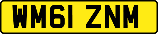 WM61ZNM