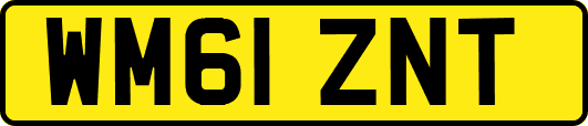 WM61ZNT