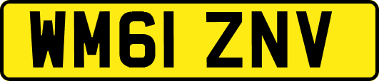WM61ZNV