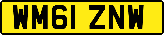 WM61ZNW