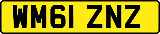 WM61ZNZ