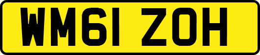 WM61ZOH