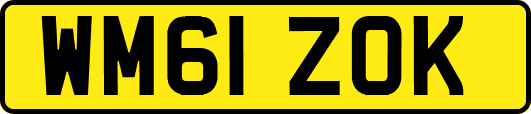 WM61ZOK
