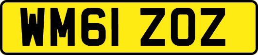 WM61ZOZ