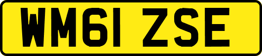 WM61ZSE