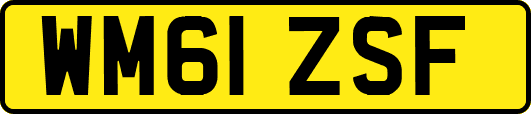 WM61ZSF