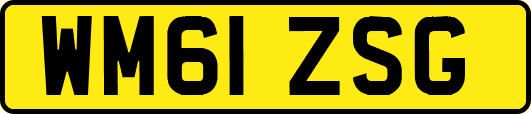 WM61ZSG
