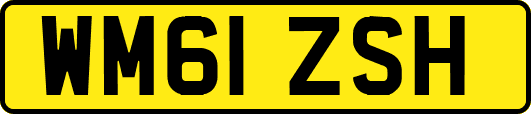 WM61ZSH