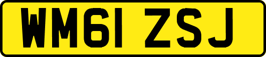 WM61ZSJ