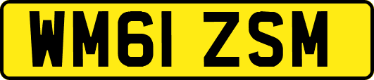 WM61ZSM