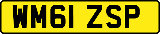 WM61ZSP