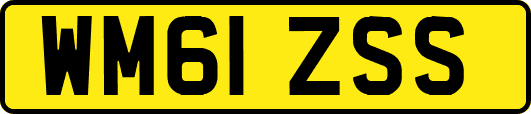 WM61ZSS
