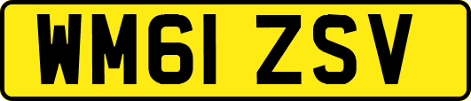 WM61ZSV