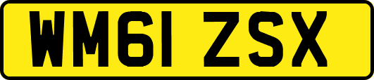 WM61ZSX