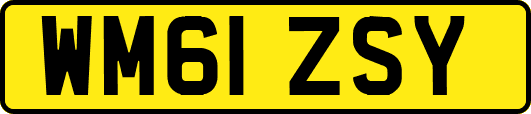 WM61ZSY