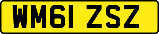 WM61ZSZ