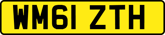 WM61ZTH
