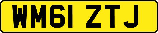 WM61ZTJ