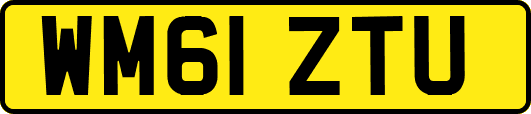 WM61ZTU