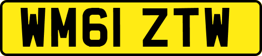 WM61ZTW