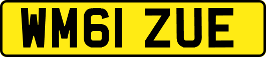 WM61ZUE