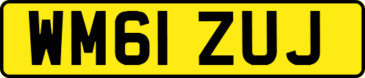 WM61ZUJ