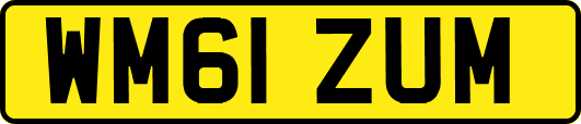 WM61ZUM
