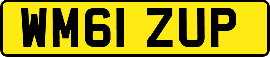 WM61ZUP