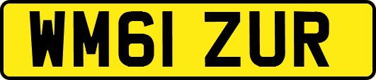 WM61ZUR