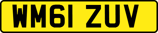 WM61ZUV