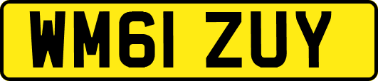 WM61ZUY
