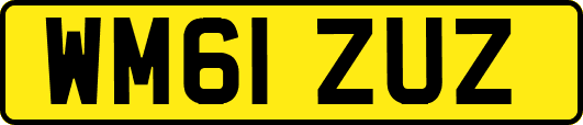 WM61ZUZ