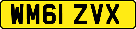 WM61ZVX