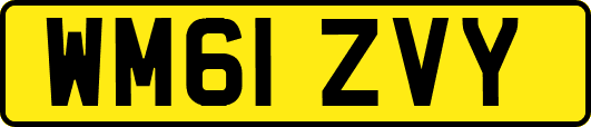 WM61ZVY