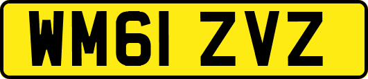 WM61ZVZ