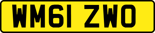 WM61ZWO