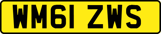 WM61ZWS
