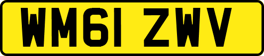 WM61ZWV