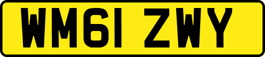 WM61ZWY