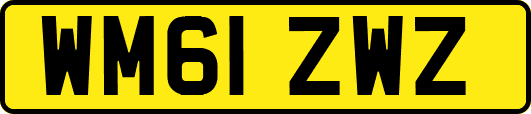 WM61ZWZ