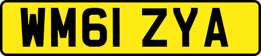 WM61ZYA