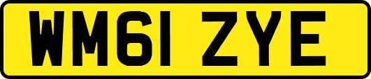 WM61ZYE