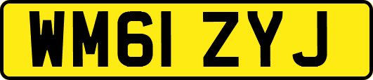 WM61ZYJ