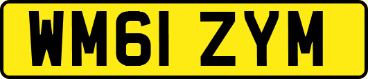 WM61ZYM